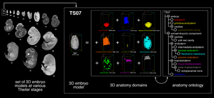 EMAP Atlas Schematic