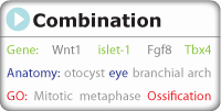 search for gene expression using a combination of search fields