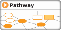 search for a spatial summary of gene expression involved in a genetic pathway