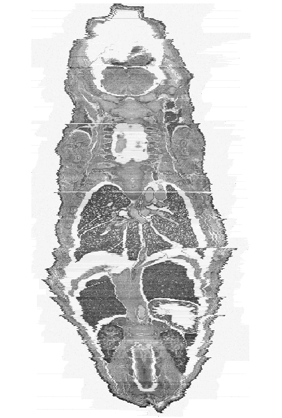 figure5b