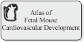 Atlas of Fetal Mouse Cardiovascular Development 