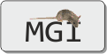 Mouse Genome Informatics